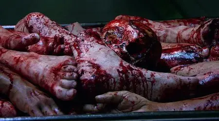 Autopsy (2008)