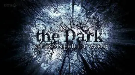 BBC - The Dark: Natures Nighttime World (2012)