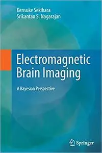 Electromagnetic Brain Imaging: A Bayesian Perspective (Repost)