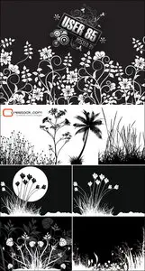 B&W Ornamental Decoration