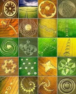 National Geographic The Truth Behind Crop Circles [2009]