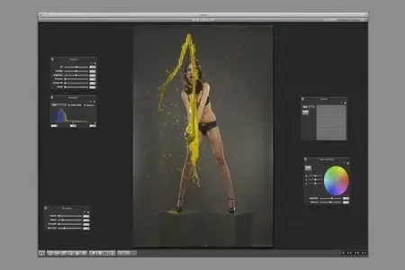 Karl Taylor - The Pro-Series Photography Course Bundle