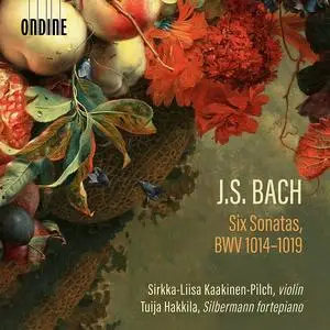 Sirkka-Liisa Kaakinen-Pilch, Tuija Hakkila - Johann Sebastian Bach: Six Sonatas, BWV 1014-1019 (2024)