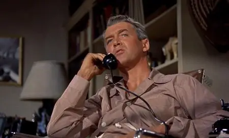 Rear Window (1954)