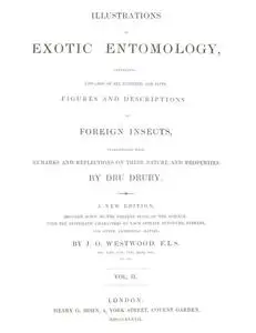 «Illustrations of Exotic Entomology, Volume 2» by Dru Drury