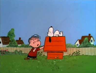 A boy named Charlie Brown