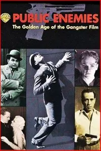 Public Enemies: The Golden Age of the Gangster Film (2008)