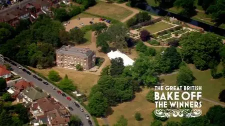 Ch4. - The Great British Bake Off: The Winners (2020)