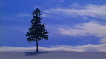 Virtual Trip: Biei, Furano - Snow Fantasy (2007)