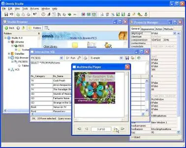 Omnis Studio 4.3 Web Edition 