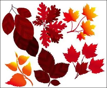 SS Vector Leaf Designs