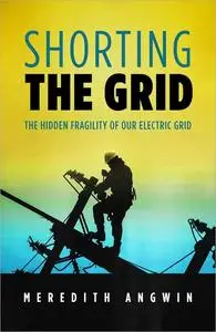 Shorting the Grid: The Hidden Fragility of Our Electric Grid