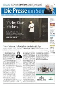 Die Presse am Sonntag, 16. Juni 2013