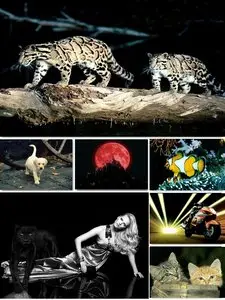 The Best Mixed Wallpaper Pack 130