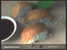 Gnomonology - SubSurfacing Sushi