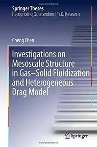 Investigations on Mesoscale Structure in Gas-Solid Fluidization and Heterogeneous Drag Model