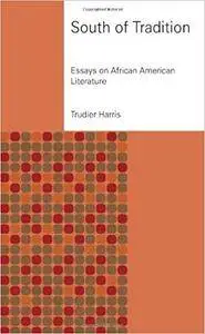 South of Tradition: Essays on African American Literature