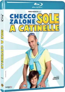 Sole a catinelle (2013)
