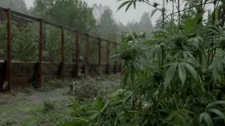 Murder Mountain S01E01