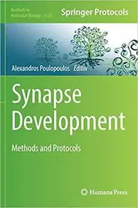 Synapse Development: Methods and Protocols