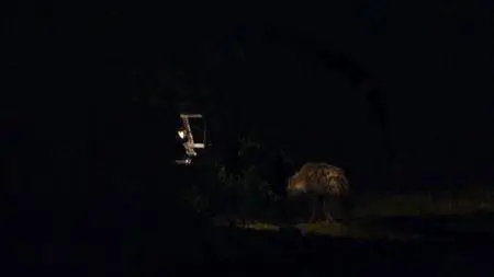 ORF - Hyaena Queen of the Masai Mara (2013)
