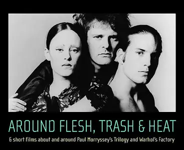 NEW YORK UNDERGROUND 67-72: Around Flesh, Trash and Heat