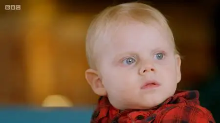 BBC - Babies: Their Wonderful World (2018)