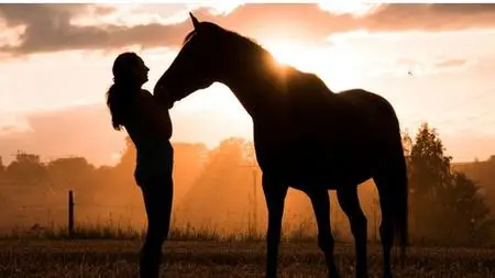 Masterclass: Setting Up An Equine Facilitated Clinic