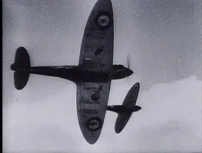 Spitfire at War. Power, Grace and Glory
