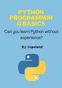 Python programming basics: Can you learn Python without experience?