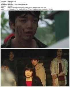 Himizu (2011)