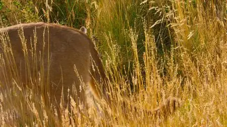 Our Great National Parks S01E02