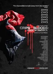 Crips And Bloods Made In America (2008)