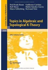 Topics in Algebraic and Topological K-Theory