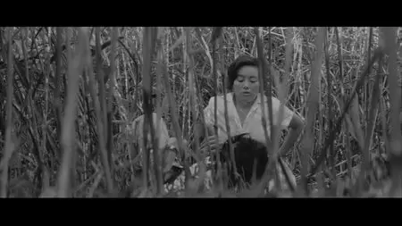 The Insect Woman (1963) + Nishi Ginza Station (1958) [Masters of Cinema #22] [Re-UP]