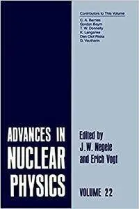 Advances in Nuclear Physics: Volume 22 (Repost)