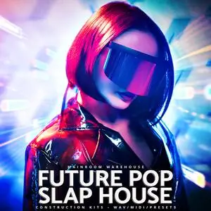 Mainroom Warehouse Future Pop Slap House MULTiFORMAT