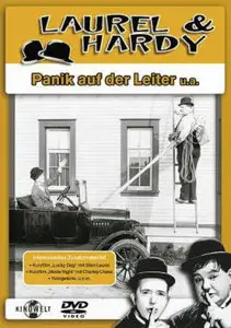 Dick & Doof: Panik auf der Leiter (1930)