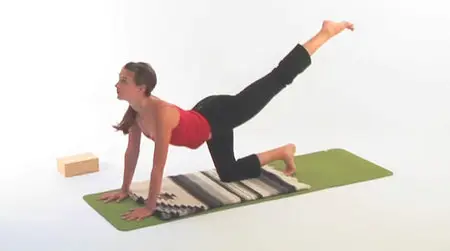 Yoga: Gentle Vinyasa Flow with Zyrka Landwijt
