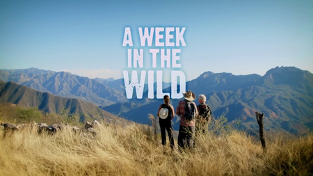 BBC - A Week in the Wild (2016)