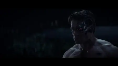 Terminator Genisys / Терминатор: Генезис (2015)