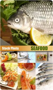 Stock Photo - SeaFood