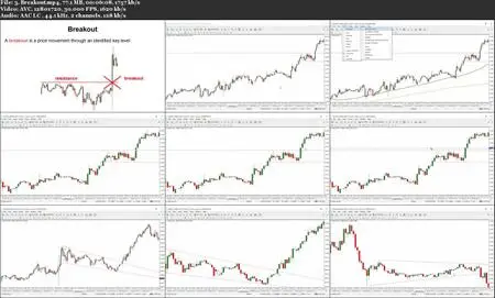 Forex Trading Price Action: Advanced Swing Trading Strategy