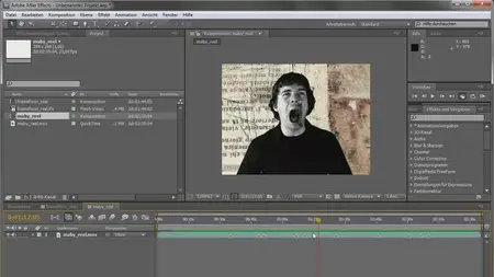 Galileo Design: Adobe After Effects CS5 - Das umfassende Training [repost]