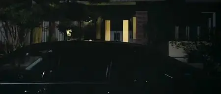 Shinjuku Incident (2009)
