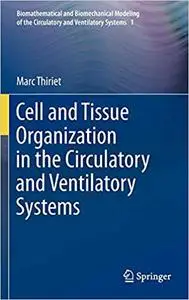 Cell and Tissue Organization in the Circulatory and Ventilatory Systems