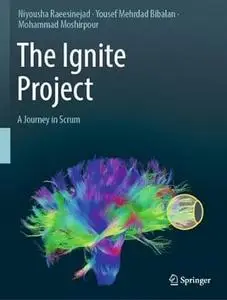The Ignite Project: A Journey in Scrum