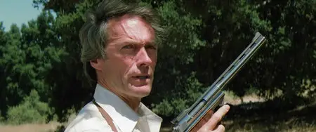 Sudden Impact / Dirty Harry Kommt Zurück (1983)
