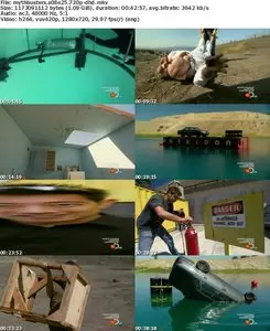 MythBusters S08E25