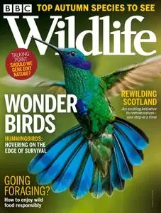 BBC Wildlife Magazine – August 2021